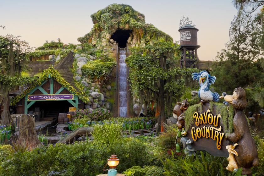 The 50-food drop of Tiana's Bayou Adventure, the centerpiece of Disneyland's Bayou Country. The land was previously known as Critter Country.