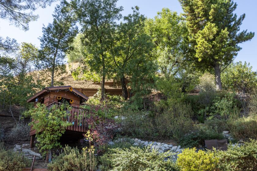 LOS ANGELES, CA - SEPTEMBER 26: Phil and Margaret Hinch turned their Porter Ranch backyard into a drought-tolerant landscape. The playhouse was rebuilt after it burned in the 2019 Saddleridge fire. Photographed at Porter Ranch in Los Angeles, CA on Thursday, Sept. 26, 2024. (Myung J. Chun / Los Angeles Times)