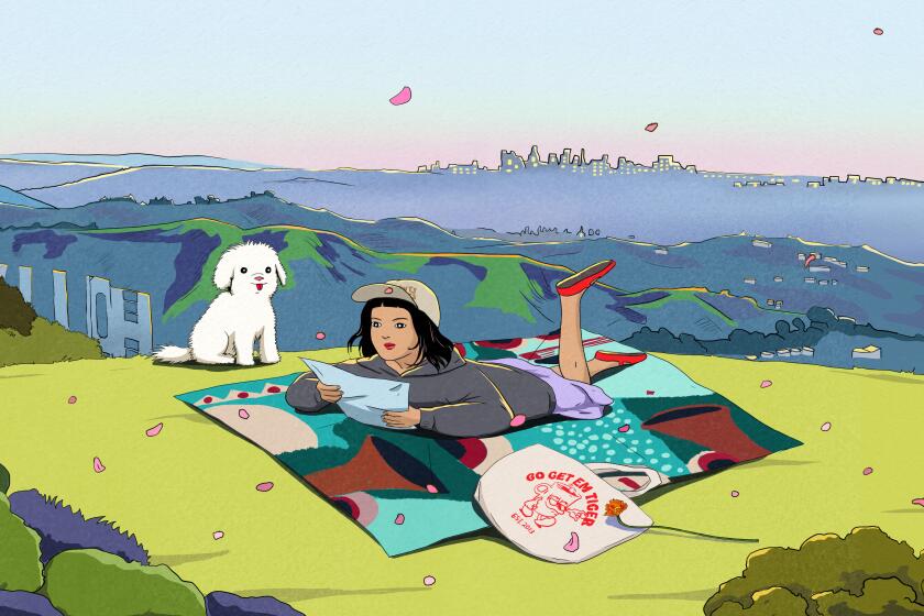 An illustration of a hiker and their dog resting on a mountain above the city.