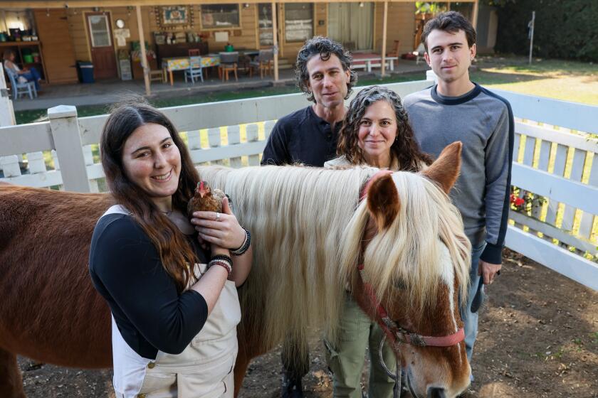 Four people standing by a horse